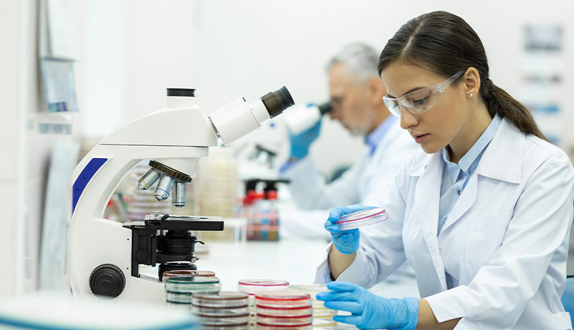 trabajo industria farmaceutica